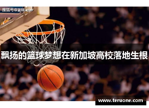 飘扬的篮球梦想在新加坡高校落地生根